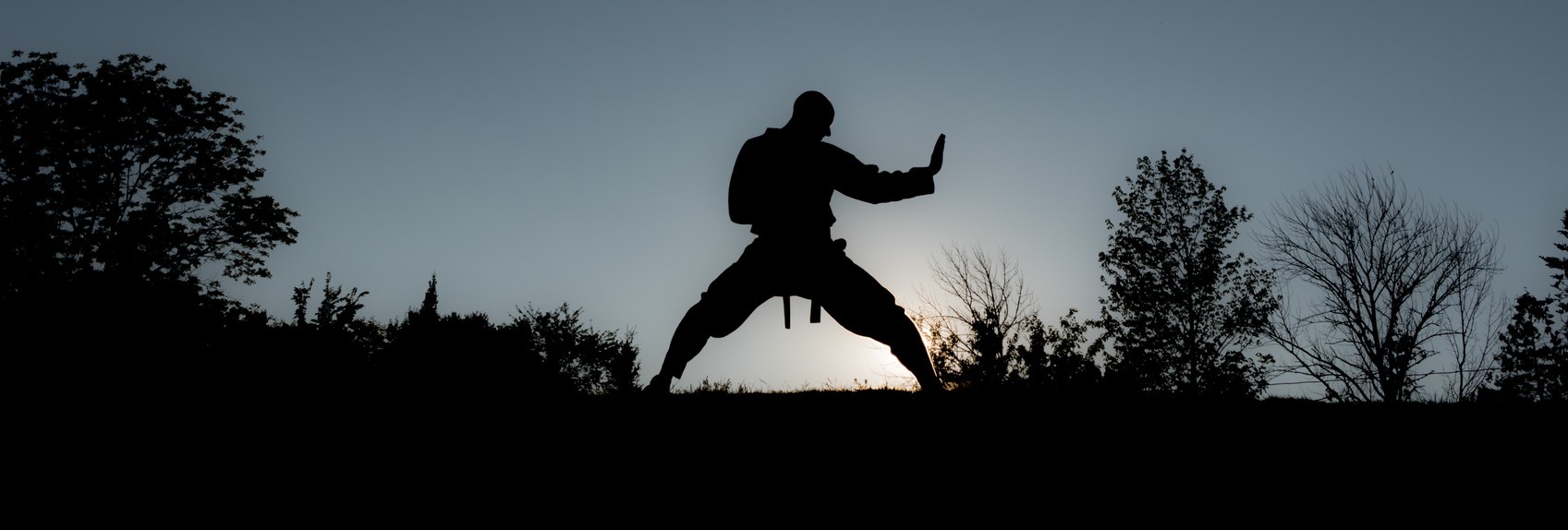 Taekwondo – Rochlitz